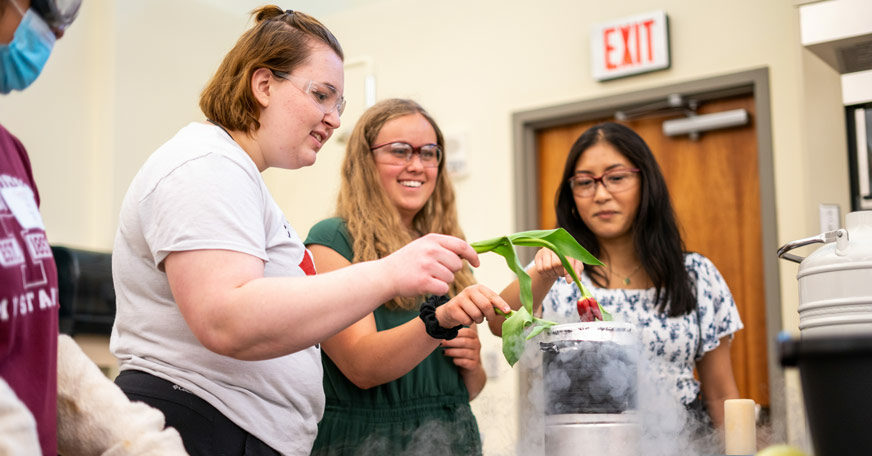 Students participate in an experiment during STEM Visit Day.